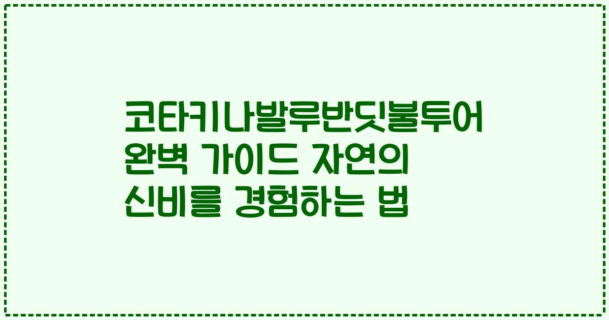 코타키나발루반딧불투어 완벽 가이드 자연의 신비를 경험하는 법